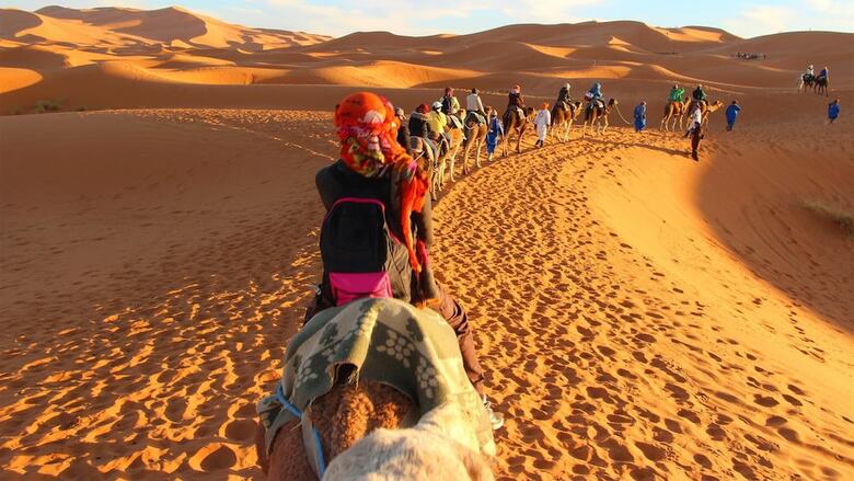 Camel Trek Bivouac In Merzouga