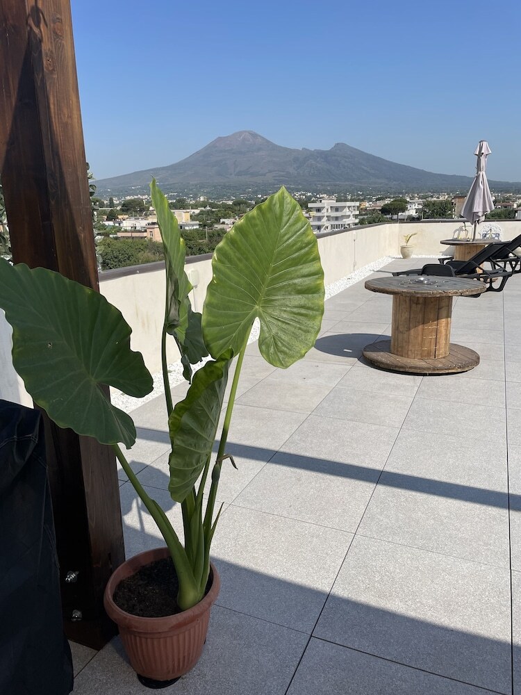 Bed & Breakfast Pompei Window
