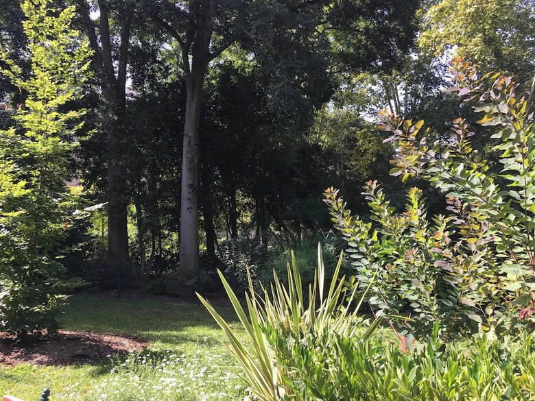 Bed & Breakfast Blue Lodge In Bordeaux