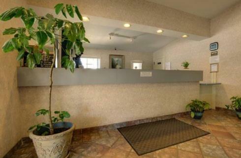 Motel Edinburg Executive Inn