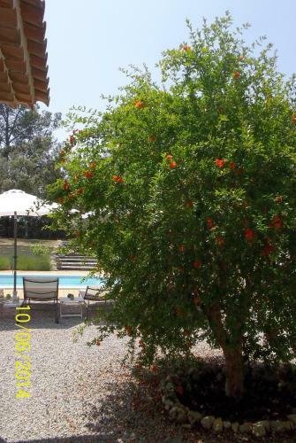 Bed & Breakfast Maprovencale