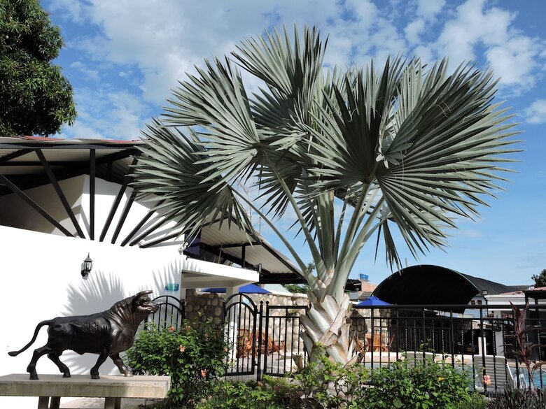 Hotel Boutique Villa Valeria
