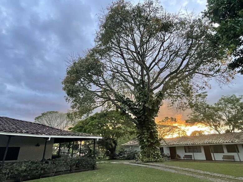 Hotel Muchosur Quimbaya