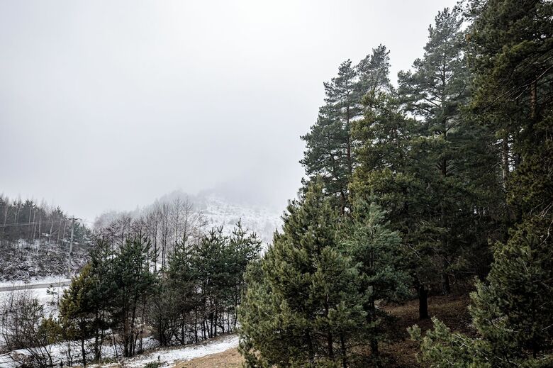 Carpentiere Arena Hotel & Spa