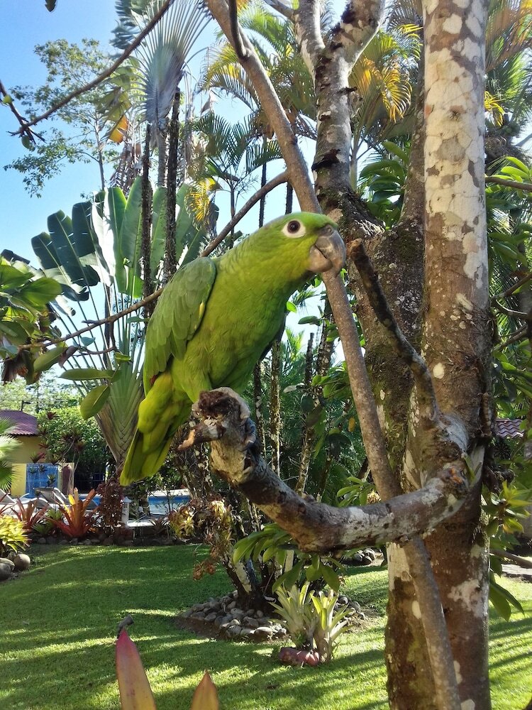 Hotel El Encanto