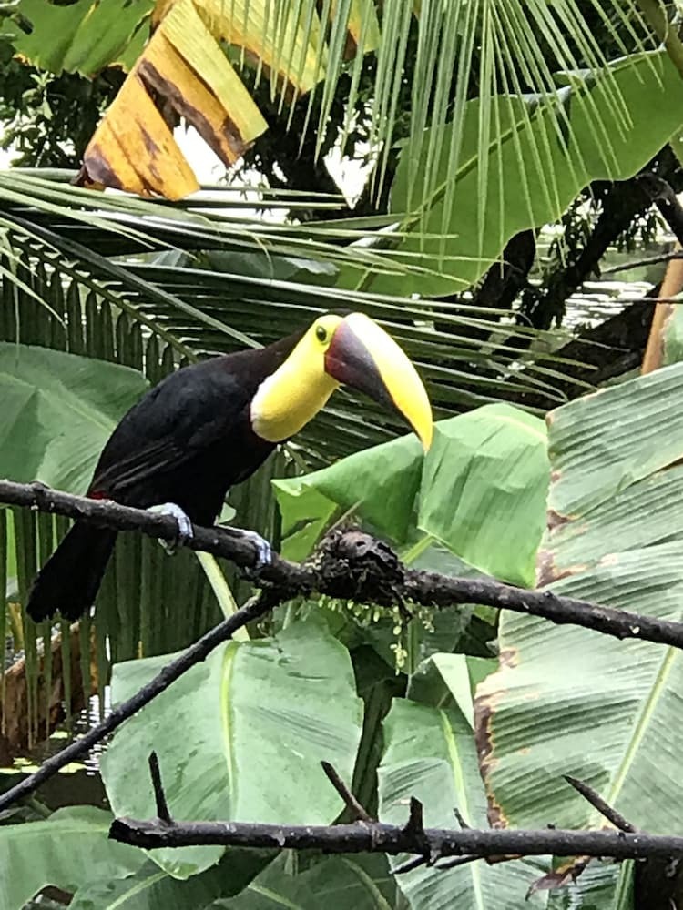 Hotel El Encanto