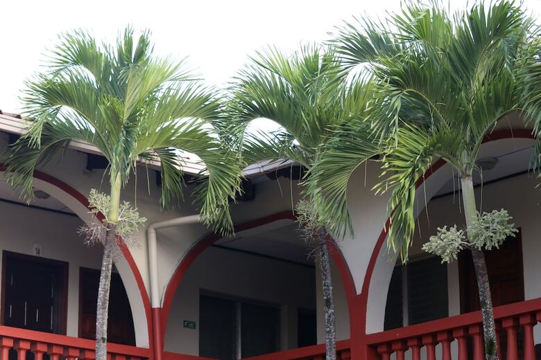 Bed & Breakfast Hotel Buena Vista