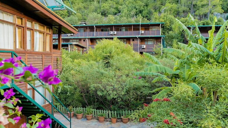 Turkmen Tree Houses