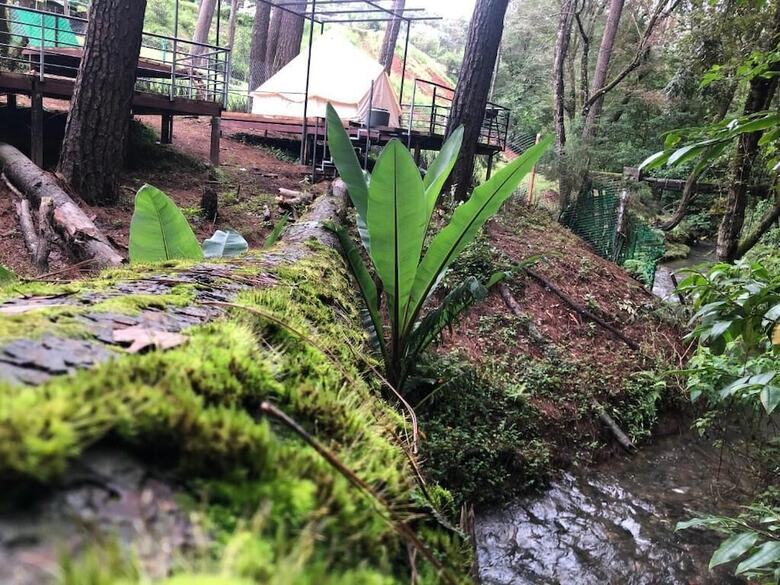 Glamping Rio Valle De Bravo