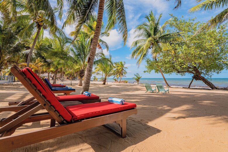 Buttonwood Belize
