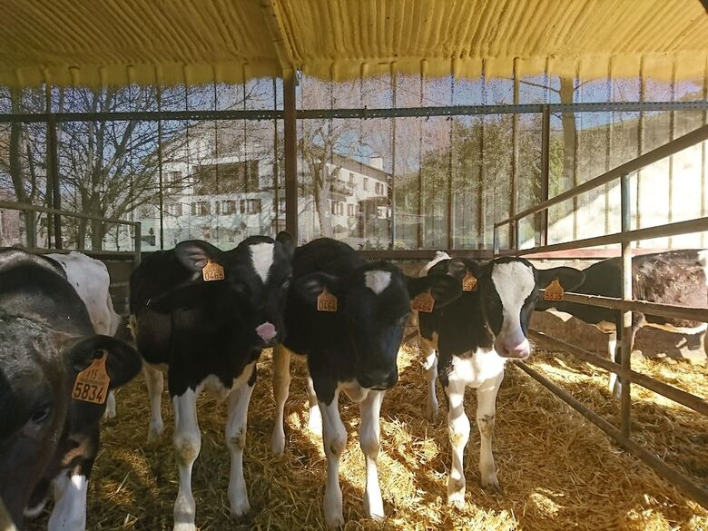 Agroturismo Zubeltzu Torre