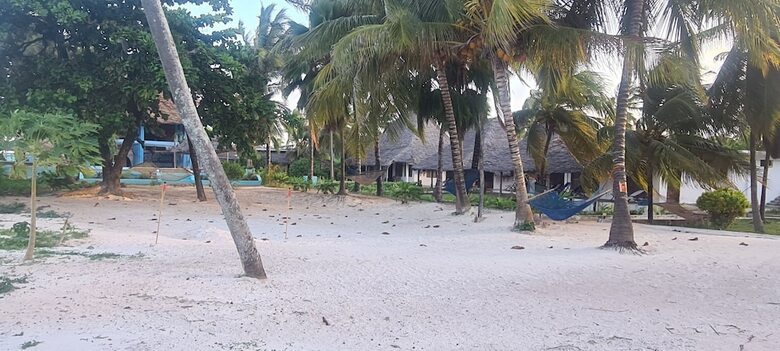 Hotel Mambo Beach Villas