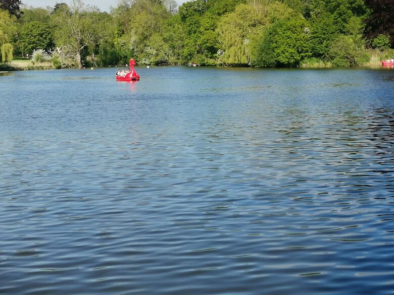 Langley Haven