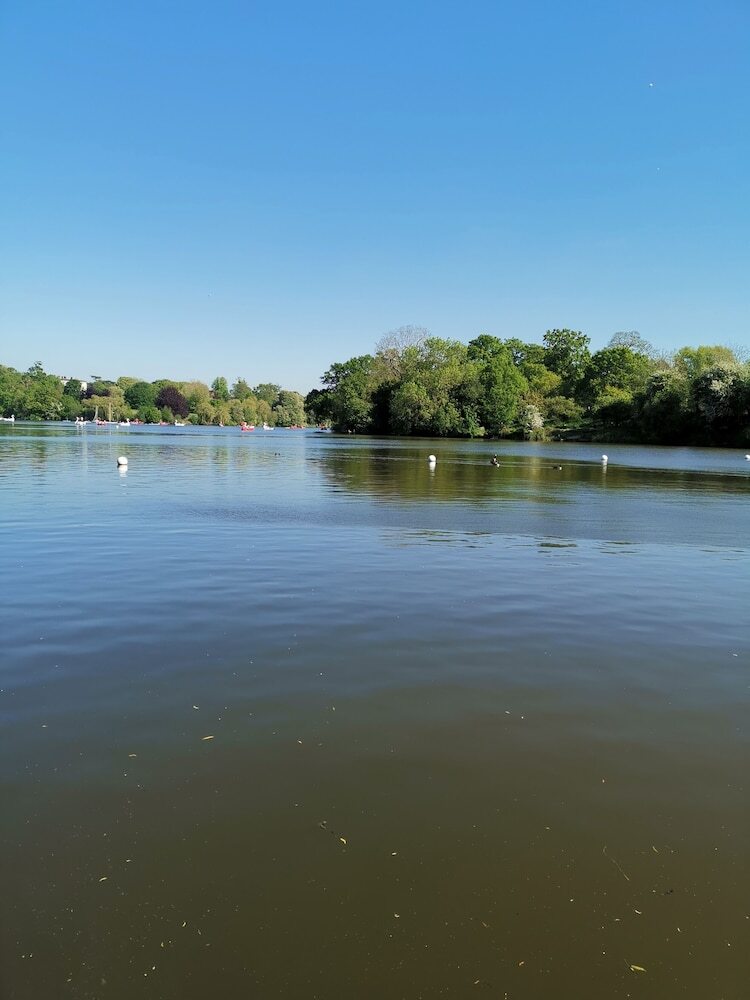 Langley Haven