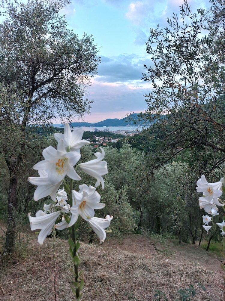 Agroturismo Oliva Azzurra
