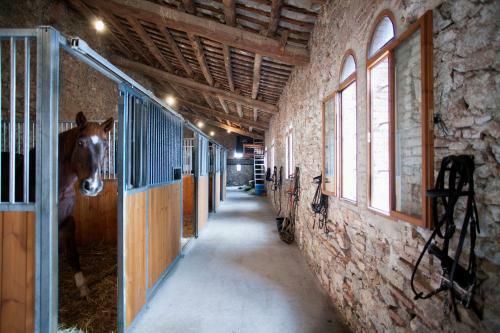 Villa Can Borrell