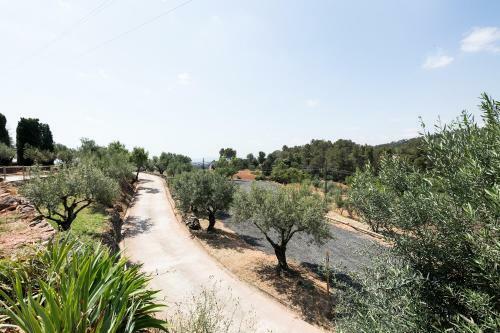 Villa Can Borrell