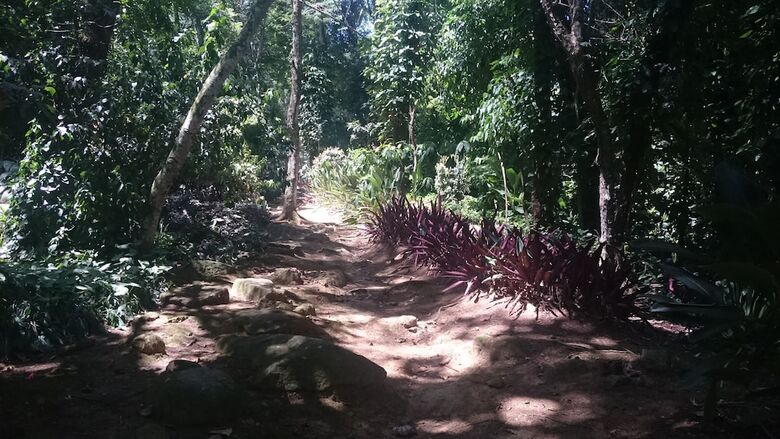 Bed & Breakfast Reb Casa Itanhanga