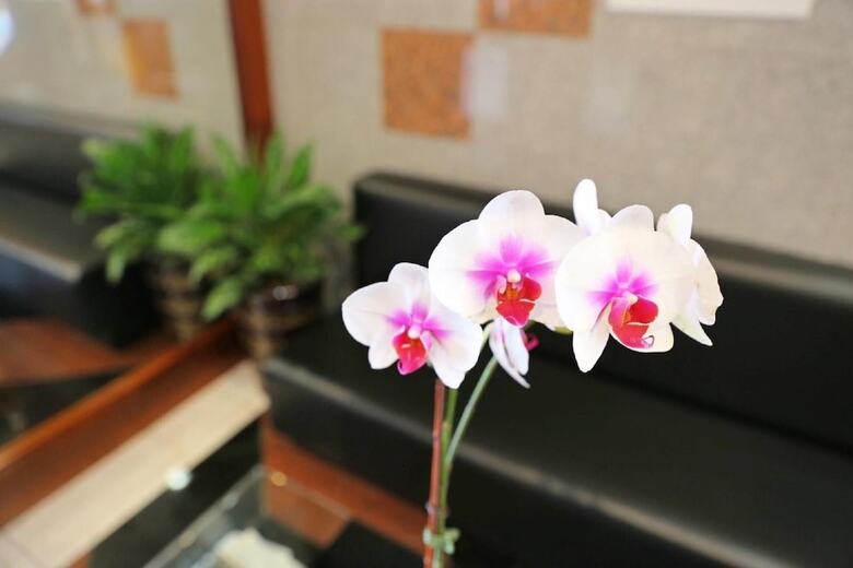 Phoenix Hotel