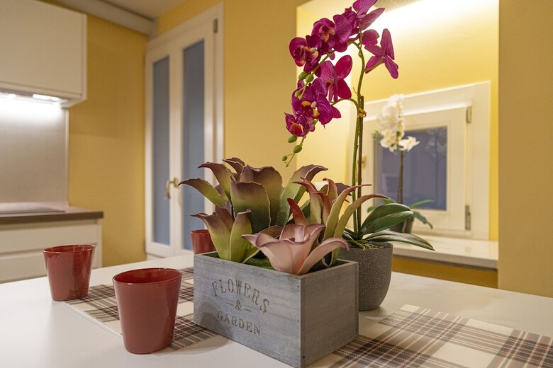 Nina's  Accommodations In Venice Center
