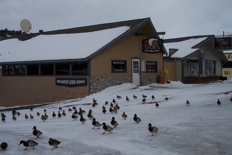 Motel June Lake Villager