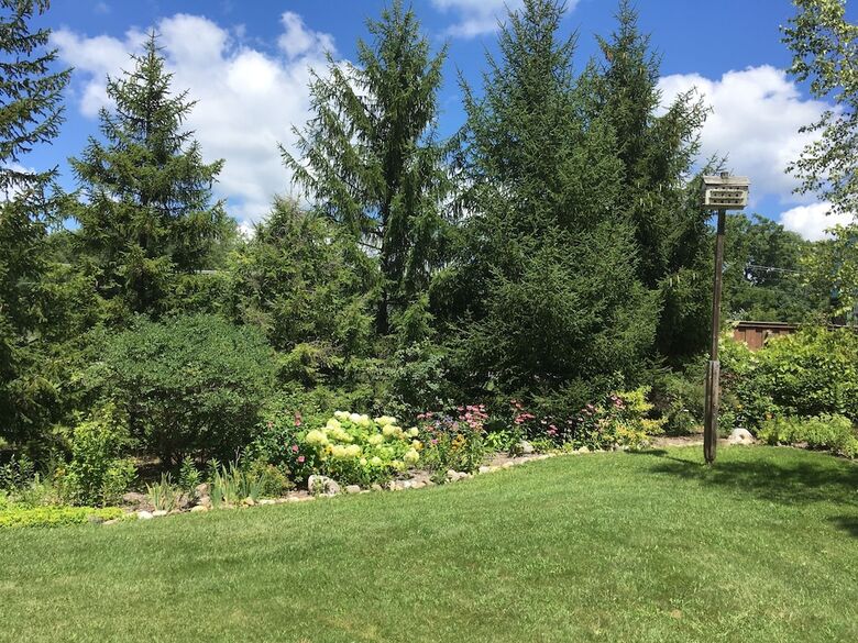 Bed & Breakfast Lazy Cloud