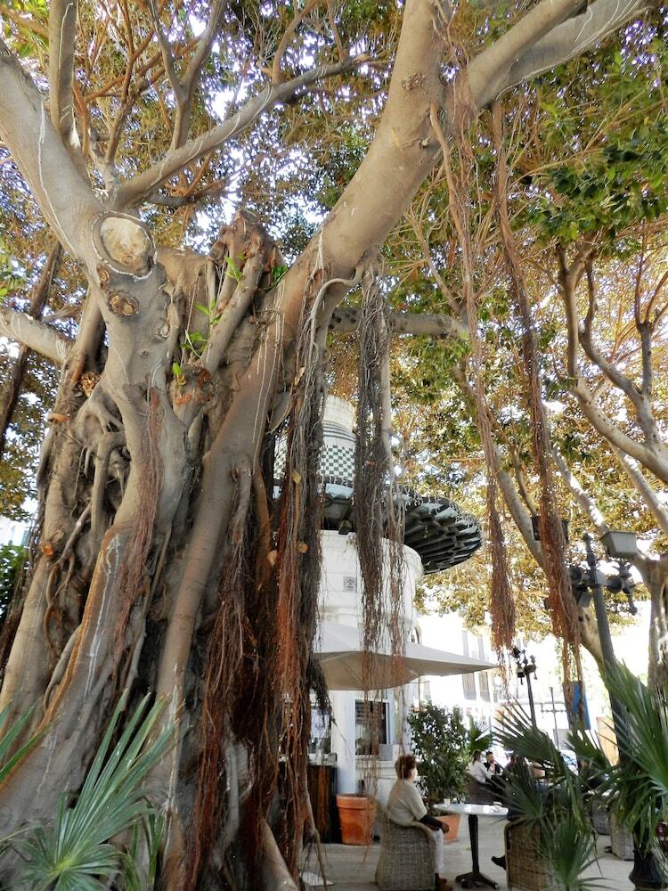 Bh San Francisco Hotel Alicante