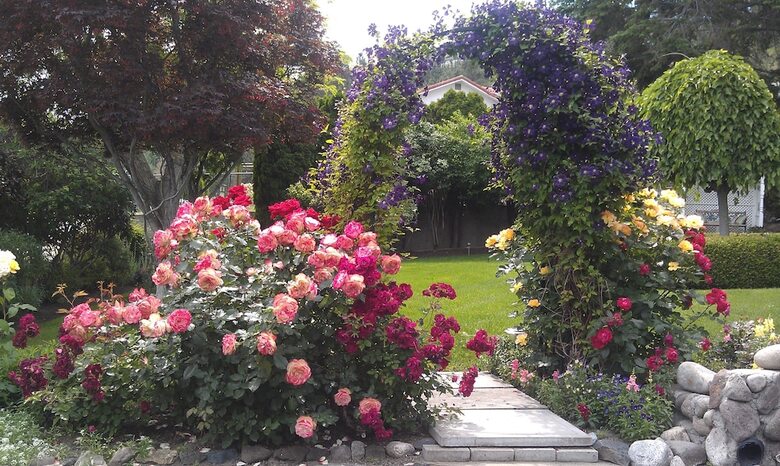 A View To Remember Bed & Breakfast