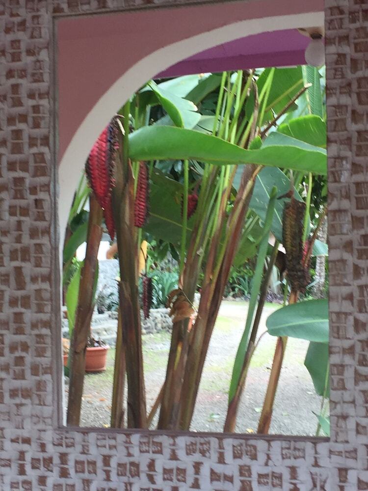 Hotel La Diosa Nature Lodge