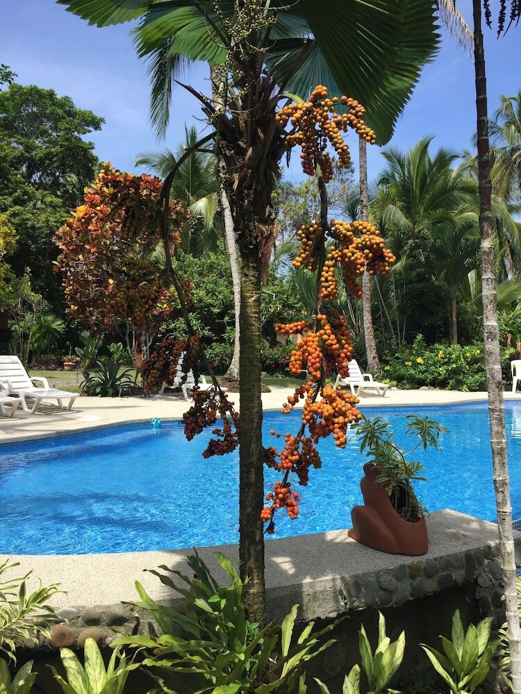Hotel La Diosa Nature Lodge
