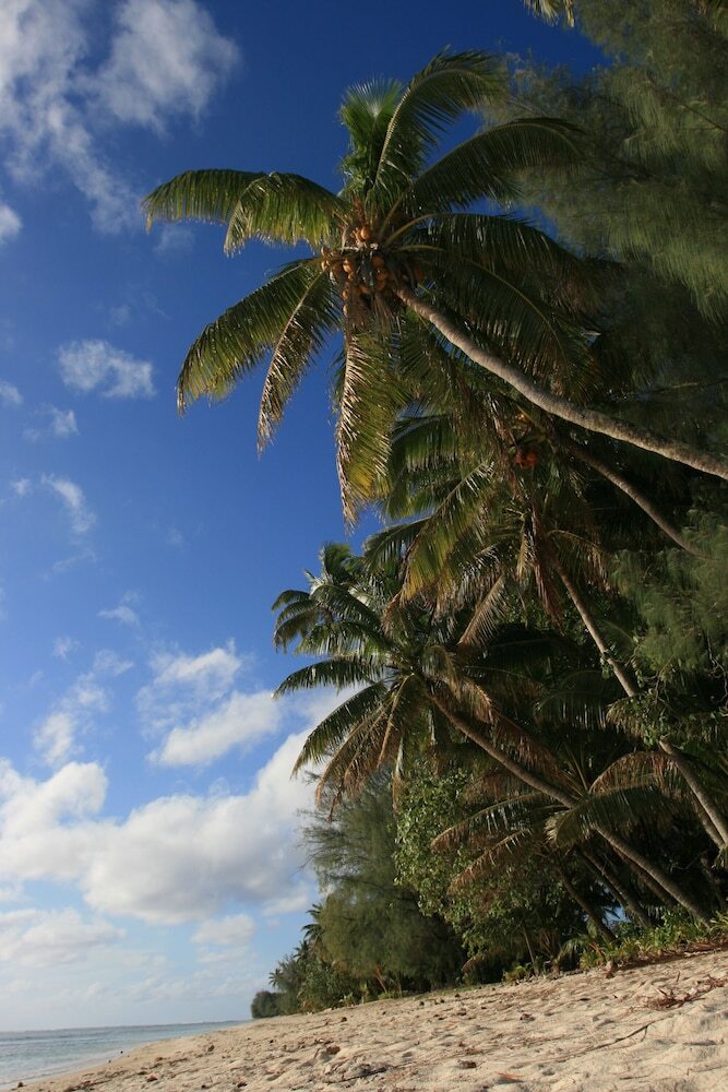 Hotel La Diosa Nature Lodge