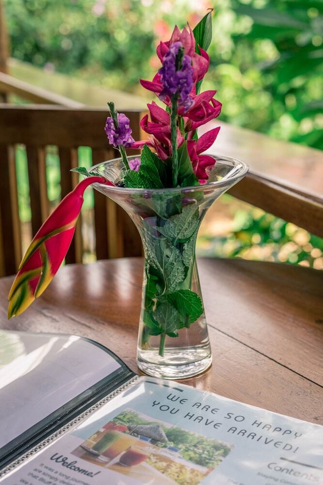 Bed & Breakfast The Hummingbird