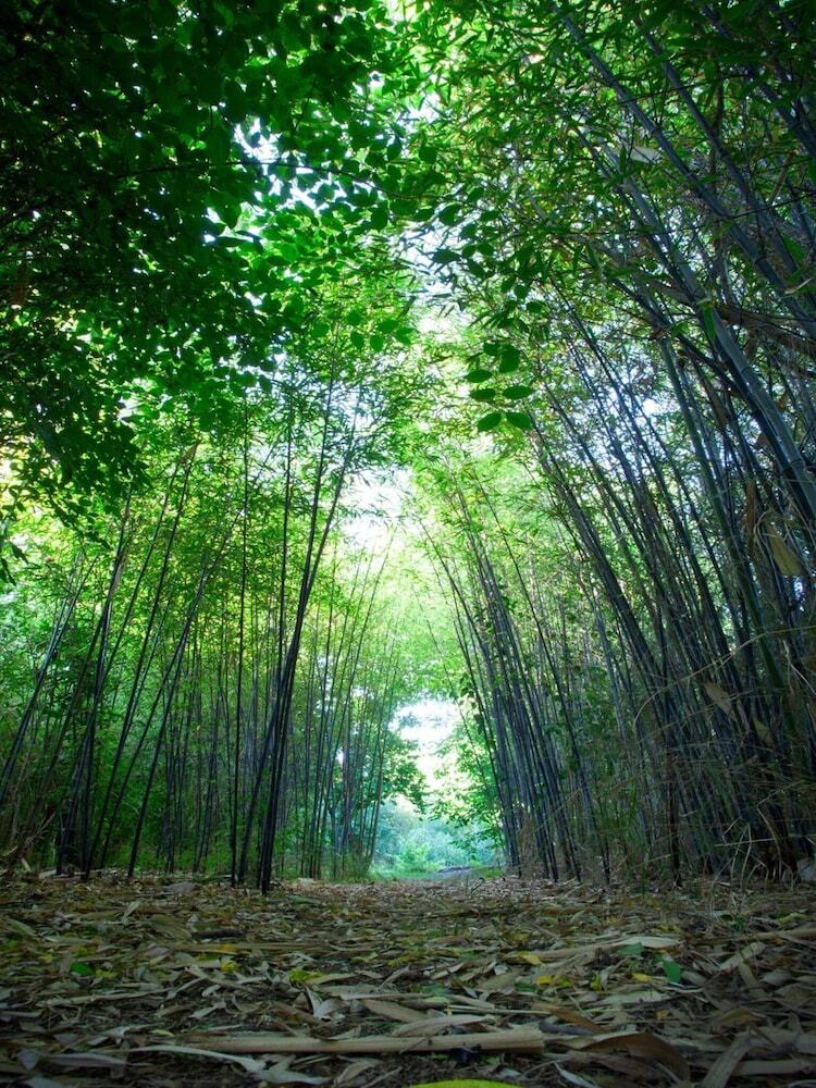 Hotel Molino Del Puente Ronda