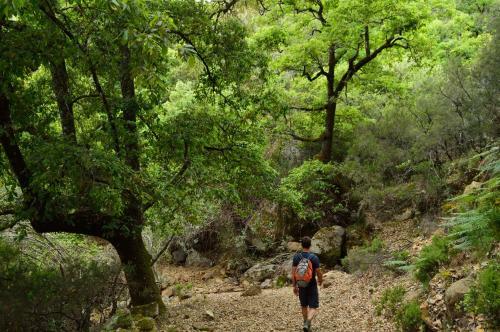 Agroturismo Casa Rural Ahora