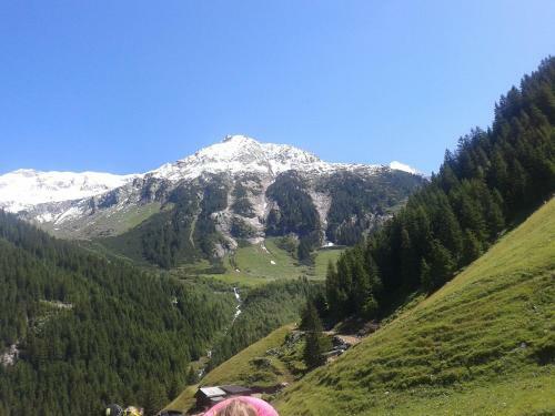 Apartamento Studio Hochzillertal