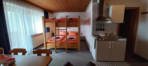 Apartamento Studio Hochzillertal