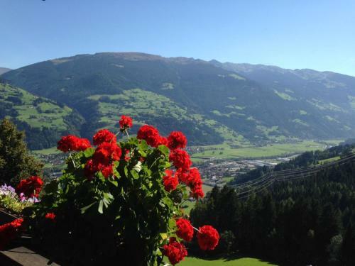 Hostal G�stehaus Rieser