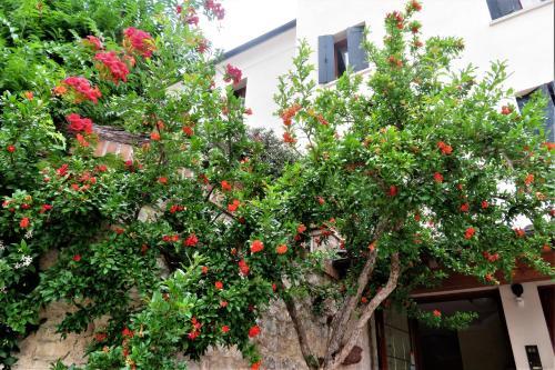 Bed & Breakfast Locanda Alla Posta