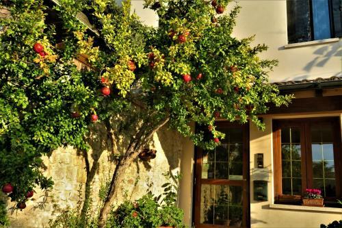 Bed & Breakfast Locanda Alla Posta