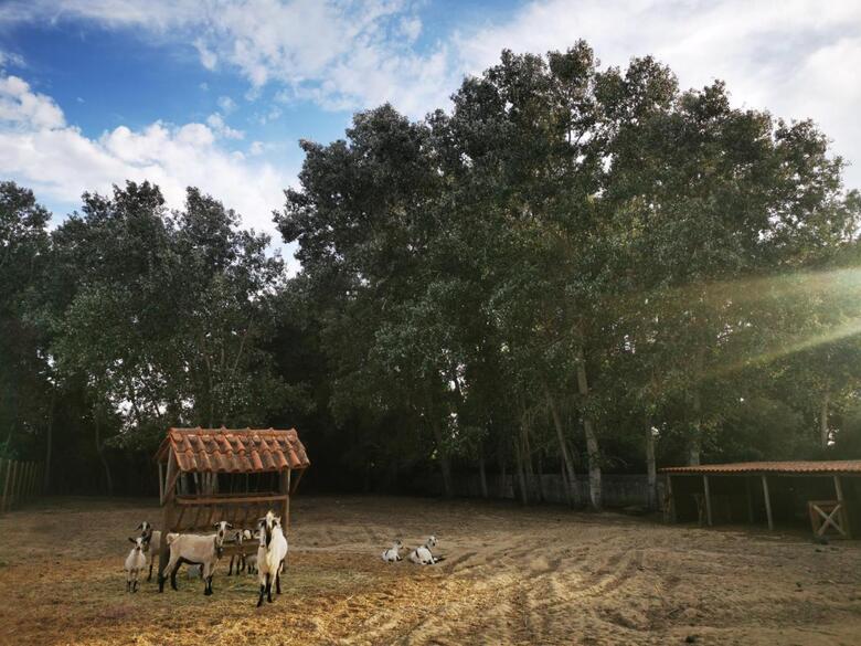 Agroturismo Quinta Do Louredo - �vora