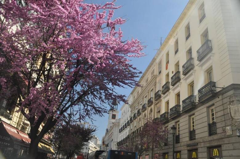 Pension Hostal Patria