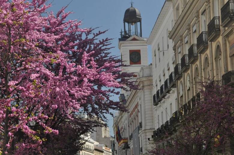 Pension Hostal Patria