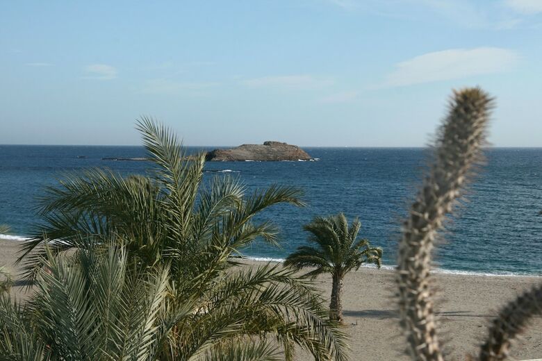 Hotel Las Palmas