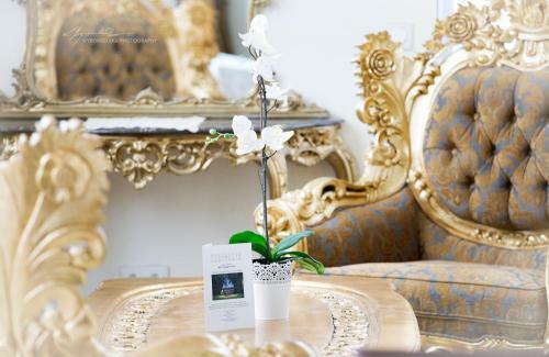 Bed & Breakfast Ch�teau Rieutort