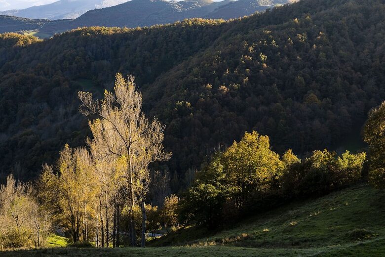 Apartamentos Los Picos De Europa