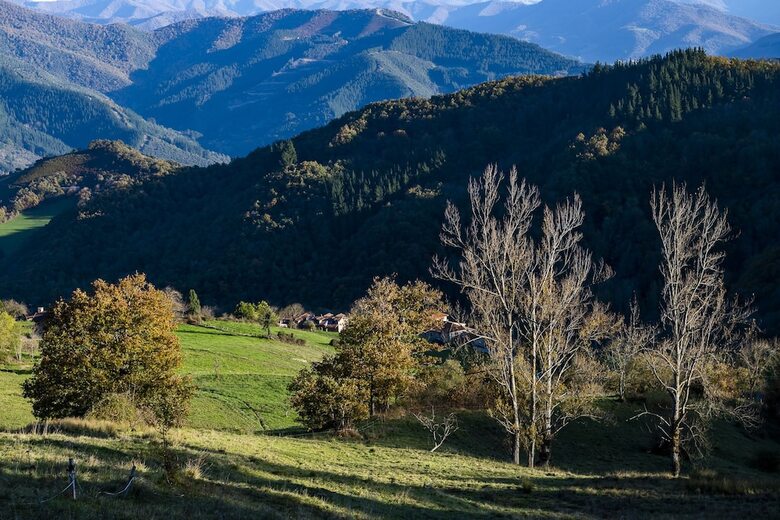 Apartamentos Los Picos De Europa