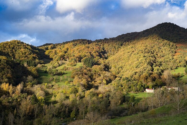 Apartamentos Los Picos De Europa