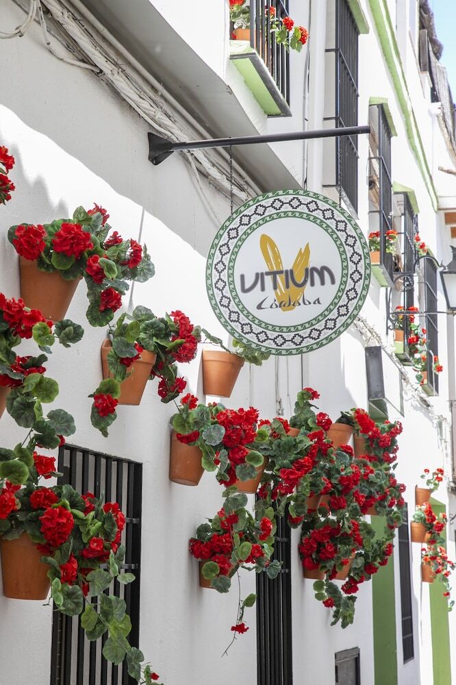 Hotel Vitium C�rdoba