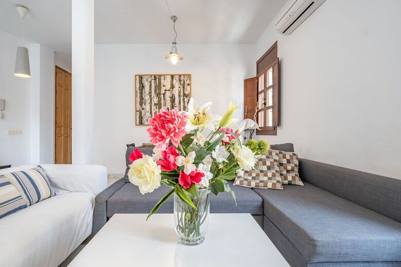 Apartamentos Do�a Elvira