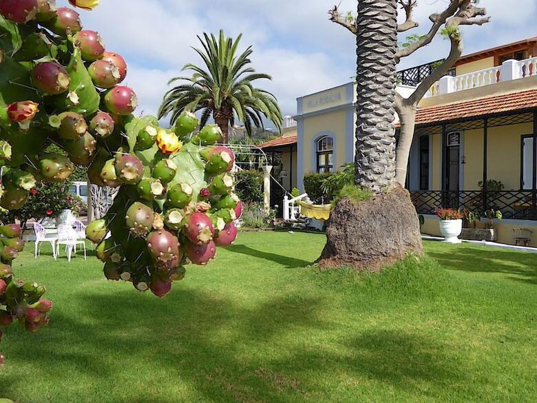 Hotel Apartamentos Villa Rosalva